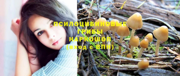 mix Арсеньев