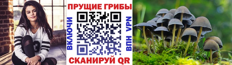 Галлюциногенные грибы мицелий  Купить закладки  Бирюч 